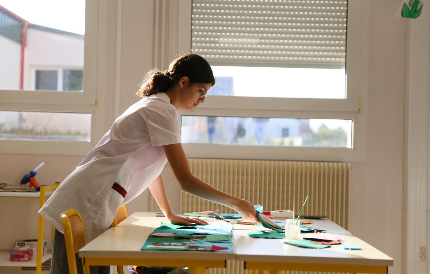 Lycée Guillaume le Conquérant Falaise_CAP AEPE
