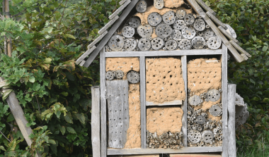 Santé-et-environnement-Normandie