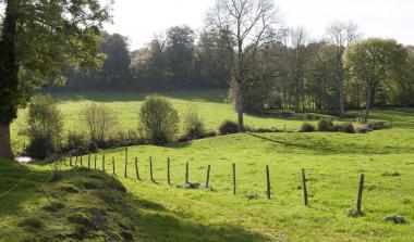 Parc régional naturel du Perche