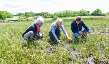 Réserve naturelle nationale des marais de la Sangsurière et de l'Adriennerie