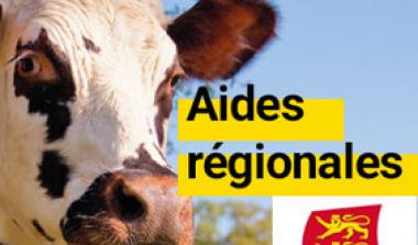 Rencontres Aides régionales