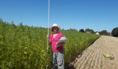 Opération comptage par Nathalie Revol de LCBio
