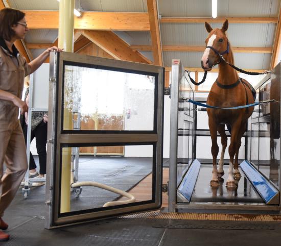 Normandie Equine Vallée-Campus international équin de Goustranville_Photo Eric Biernacki/Région Normandie