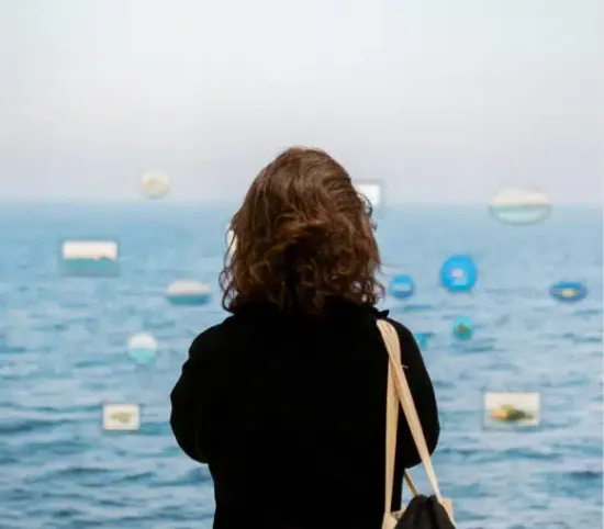 planches contact festival 2026