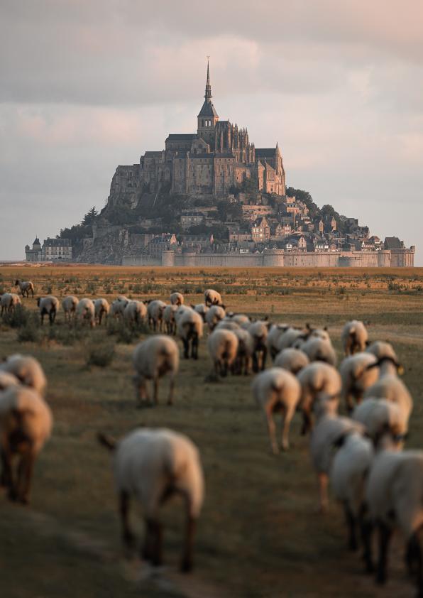 Baie du Mont Saint-Michel
