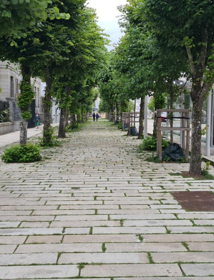 cours_jonville_juin_2026_cfloriane_renouf_-_coll_ville_de_granville_2_1.jpg